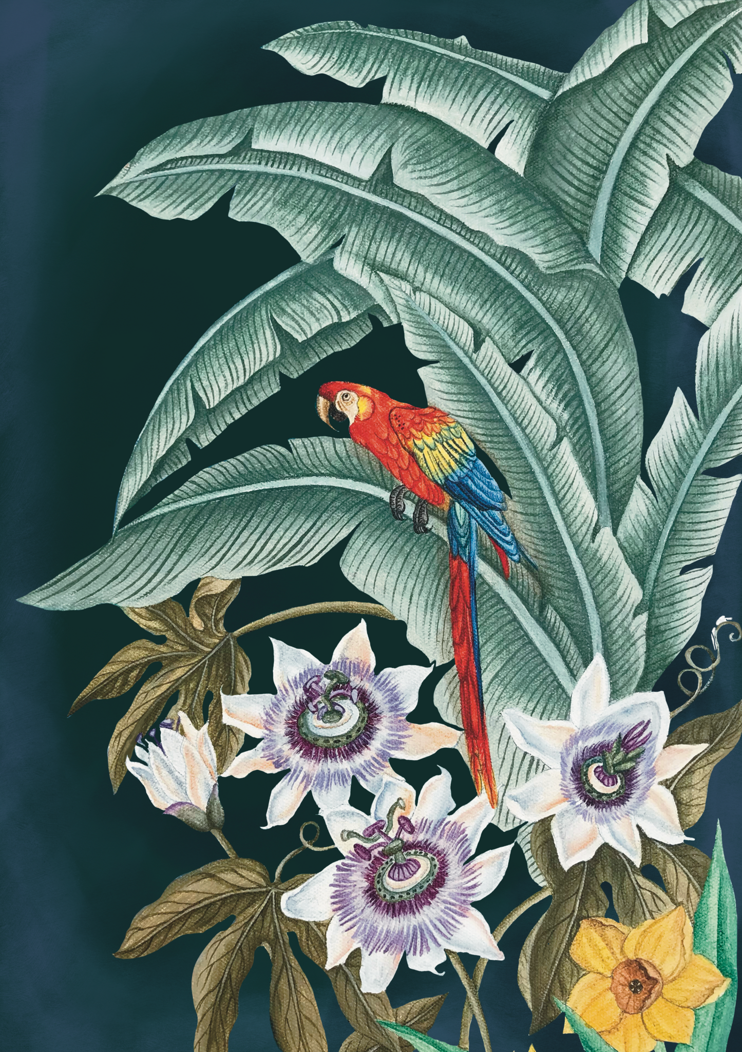 ‘Red Macaw’ Notebook