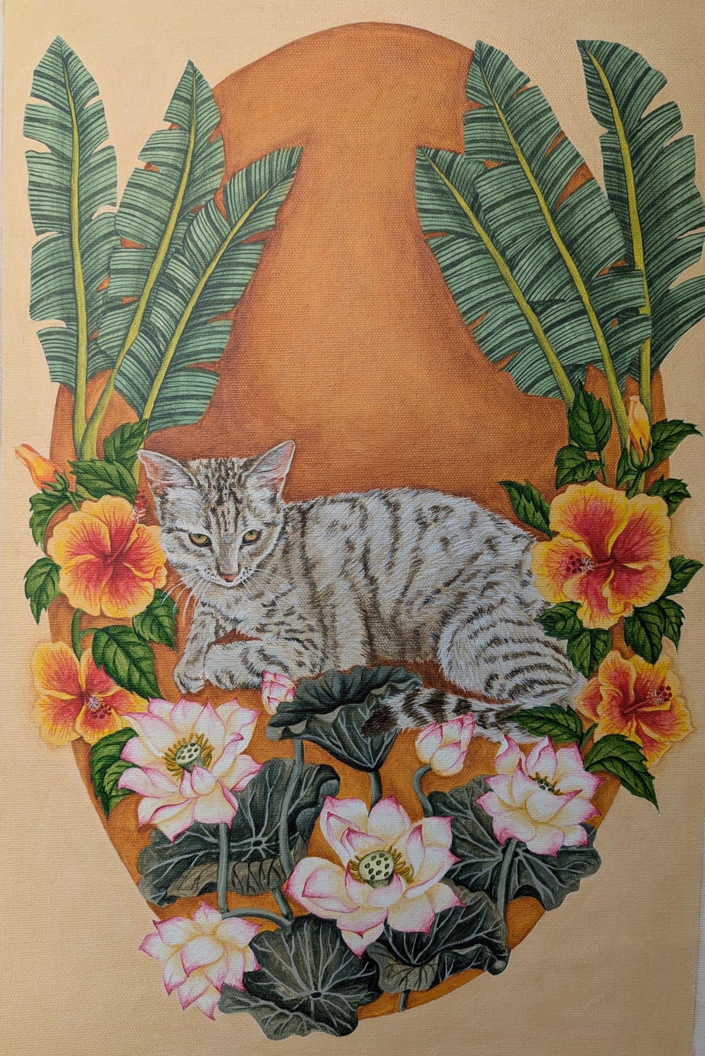 Pet Portraits
