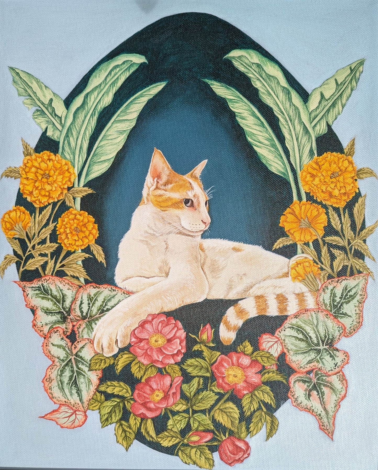 Pet Portraits