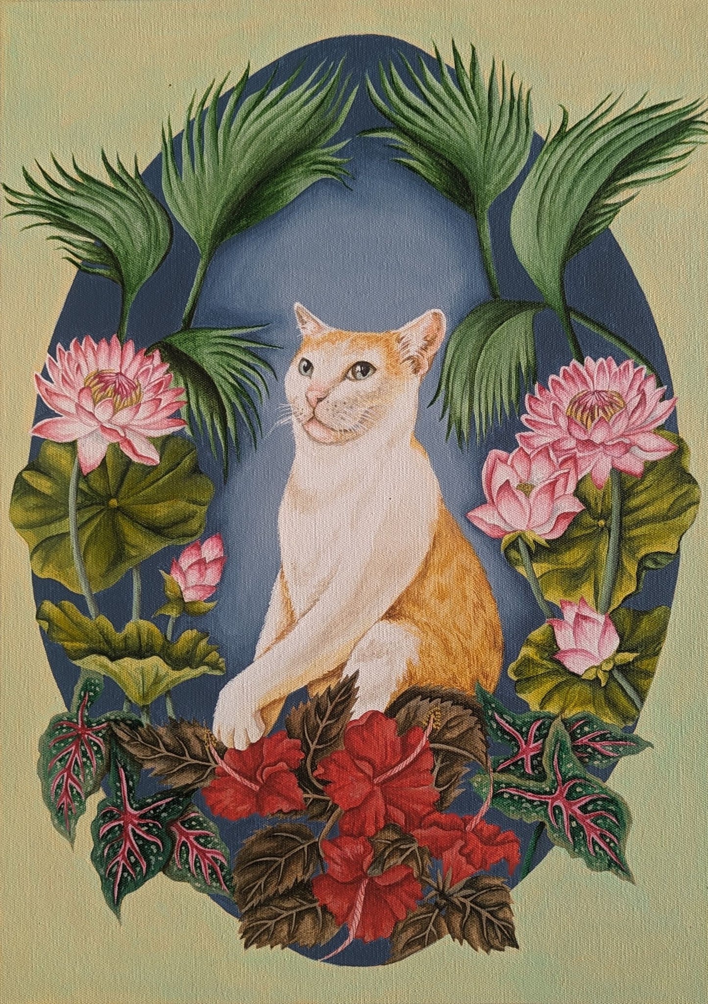 Pet Portraits