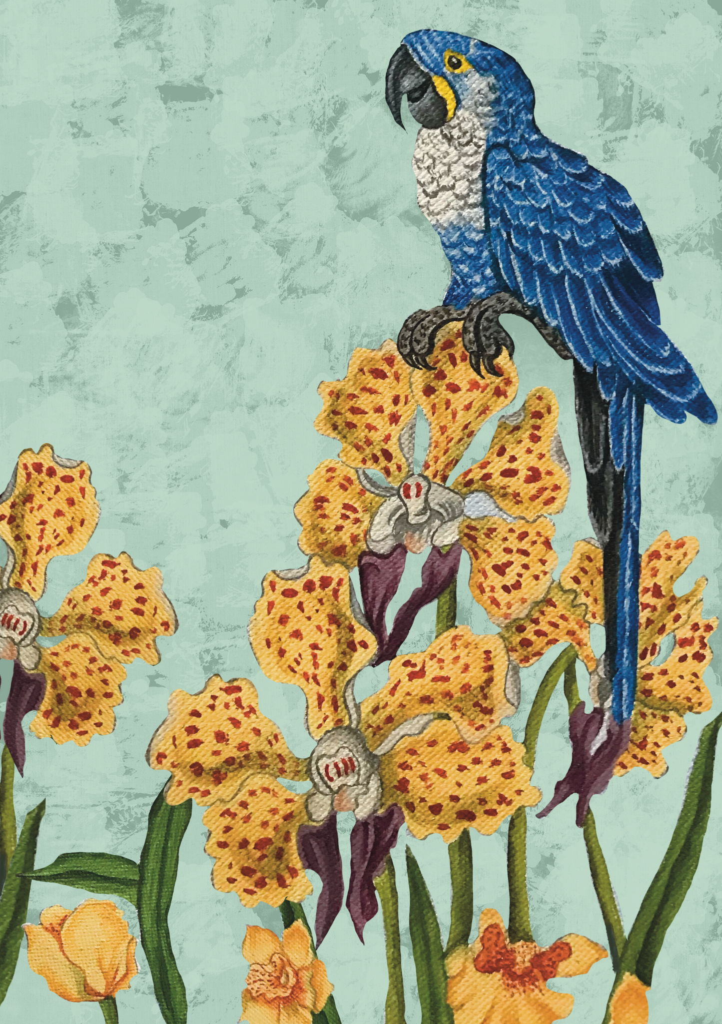 ‘Blue Macaw’ Notebook