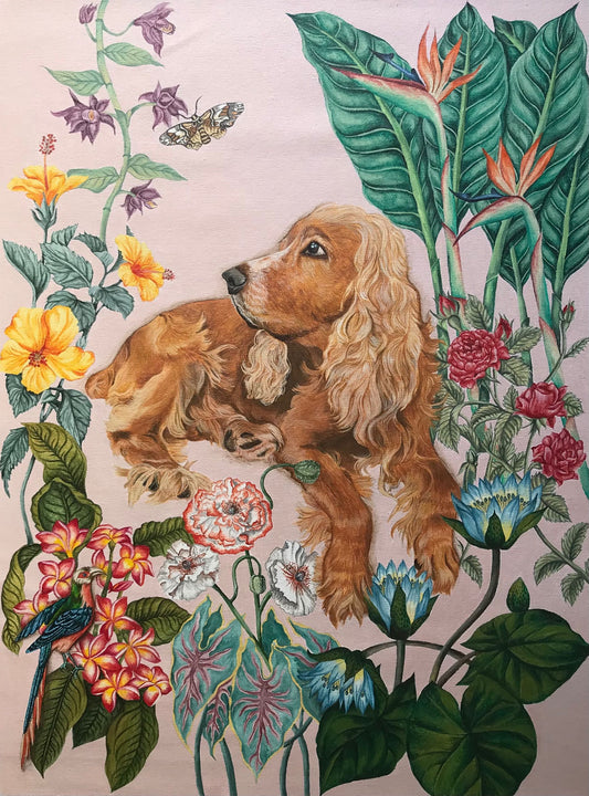 Pet Portraits